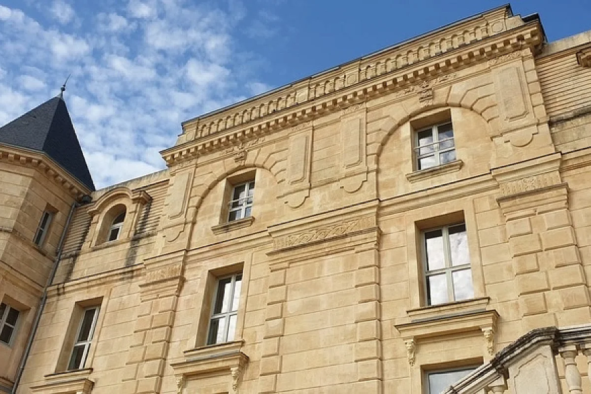 Image 7