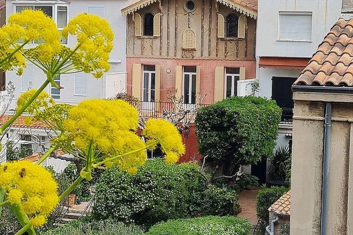 Image 7