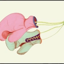 Des Hommes Endormis - Théâtre de l'Athénée, paris