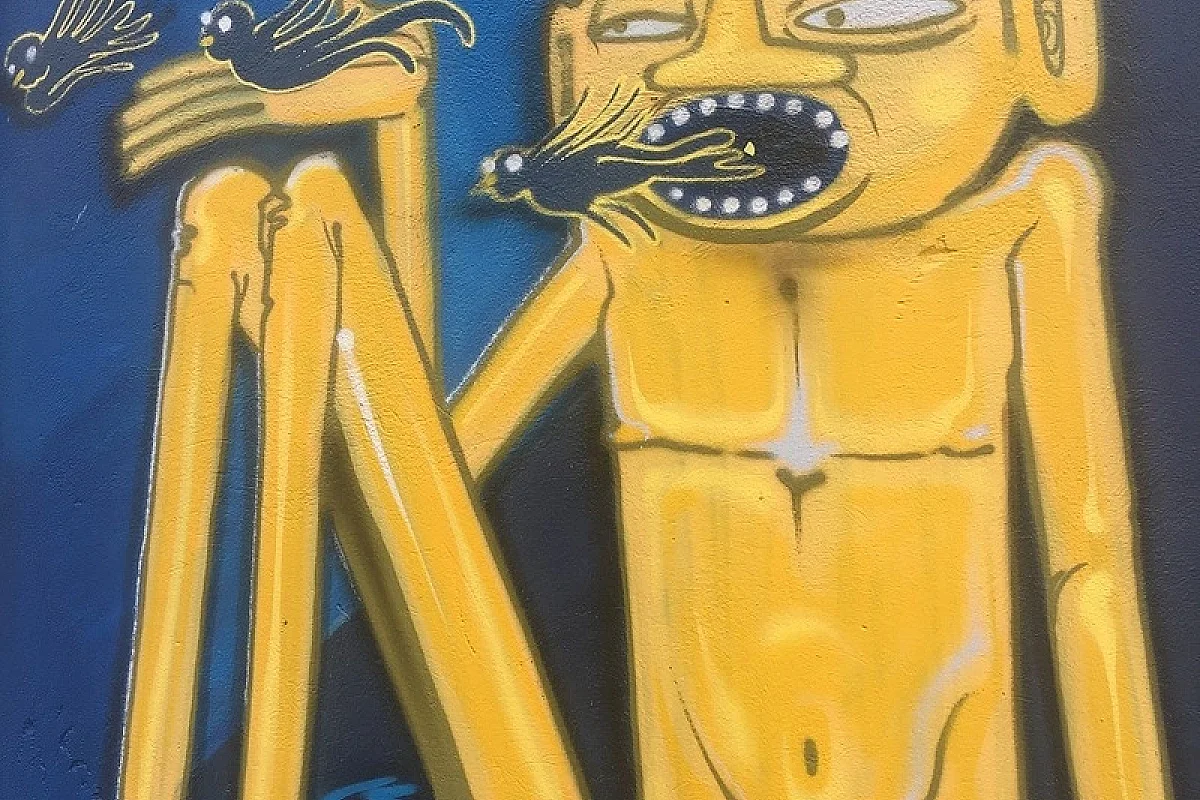 Image 2
