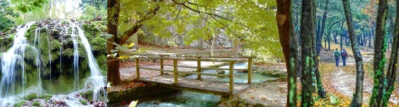 Balade ombragée avec Colette dans la forêt de Saint-Pons à 