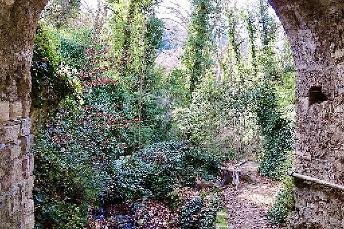 Image 6