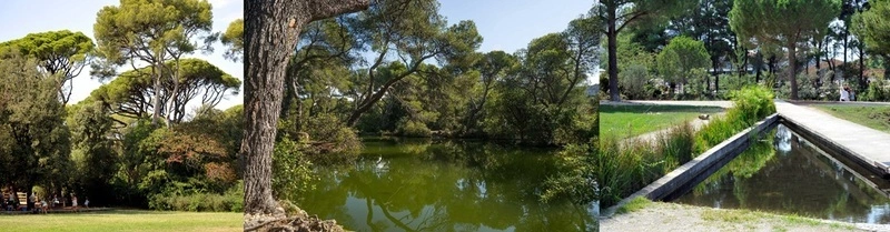 Balade facile dans la forêt de Pastré, avec Myriam
