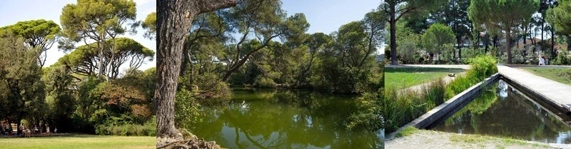 Balade facile dans la forêt de Pastré, avec Myriam