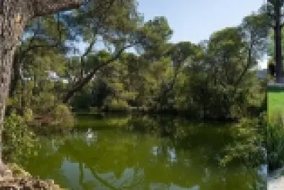 Balade facile dans la forêt de Pastré, avec Myriam 
