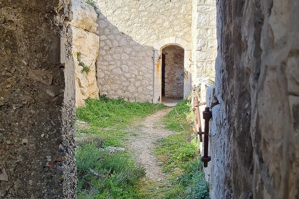 Image 8