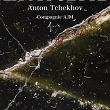 La Mouette - Théâtre de l'Epée de Bois - Paris