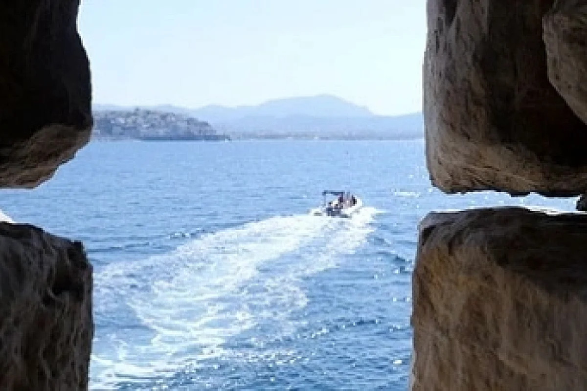Image 6