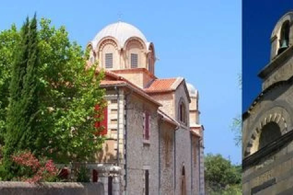 Image 8
