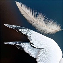 La Mouette - Anton Tchekhov - Le Carré Rond, Marseille