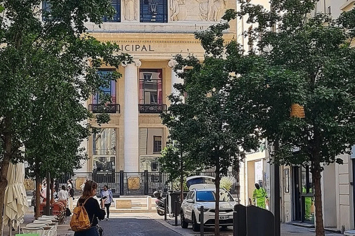Image 7
