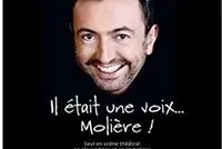 Gérald Dahan dans Il était une voix...Molière !
