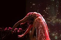 Natraaj Gala des Artistes