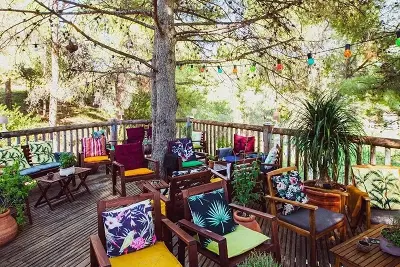 Visite au château des Creissauds (Maison Ferroni) : jardin aromatique, 