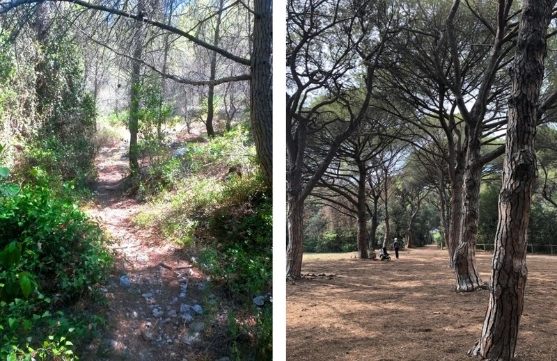 Sophro-balade au parc Pastré : respiration, marche consciente et connexion