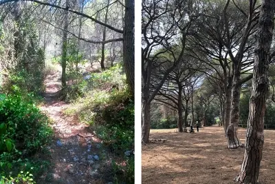 Sophro-balade au parc Pastré : respiration, marche consciente et connexion 