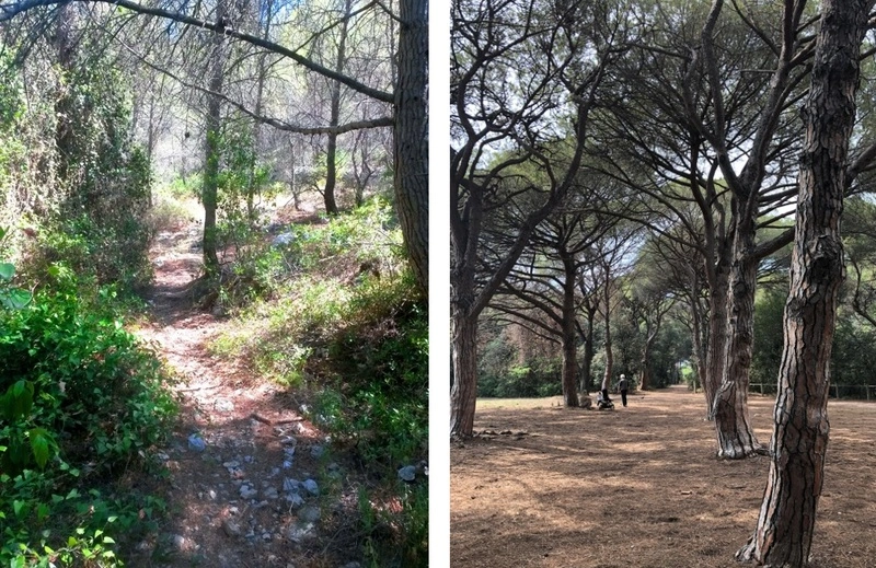 Sophro-balade au parc Pastré : respiration, marche consciente et connexion 