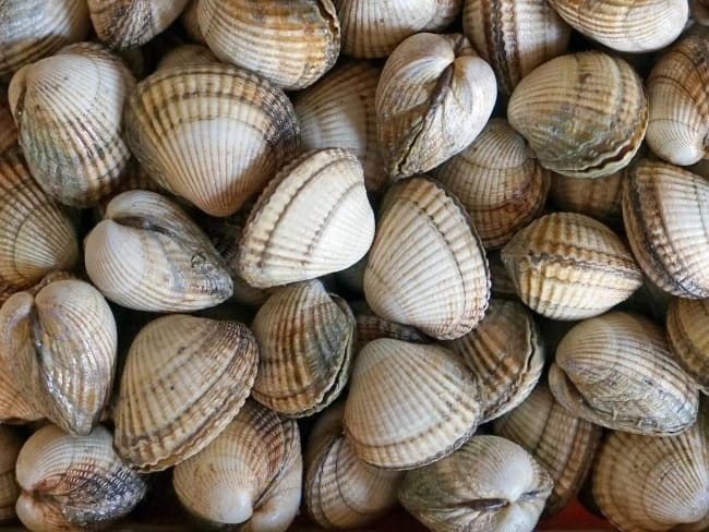 Déjeuner convivial de coquillages au restaurant de 