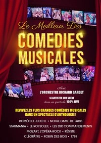Le Meilleur des Comédies Musicales