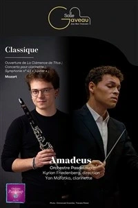 Amadeus Orchestre Pasdeloup