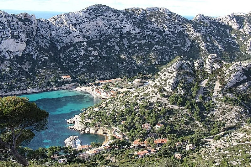 Image 3