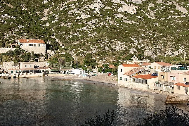 Image 6