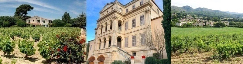 Randonnée racontée facile aux portes de Marseille "Vignes Brémont, 