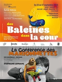Des baleines dans la cour & La Conférence des marionnettes