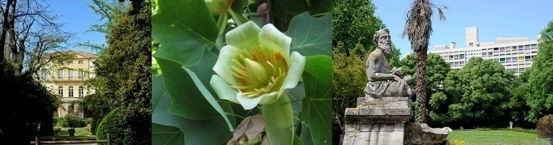 Balade historique facile avec Sylvie : Villa Luce et son parc ombragé, 