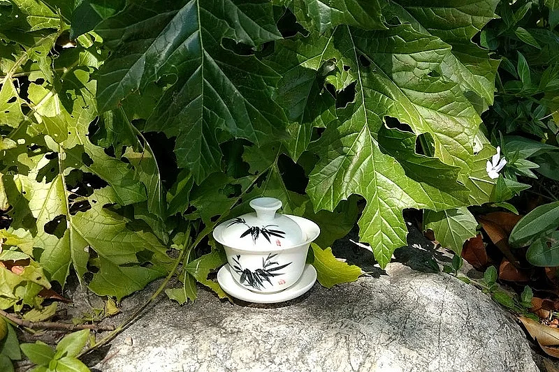 Image 6