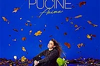 Le Cas Pucine dans Anima
