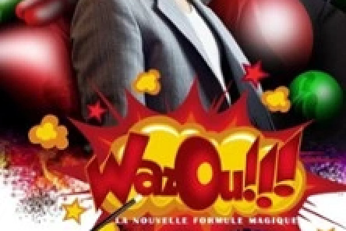 Romain Villoteau - Wazou ! (tournée)