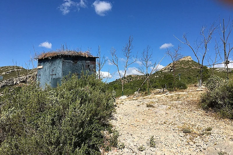 Image 8