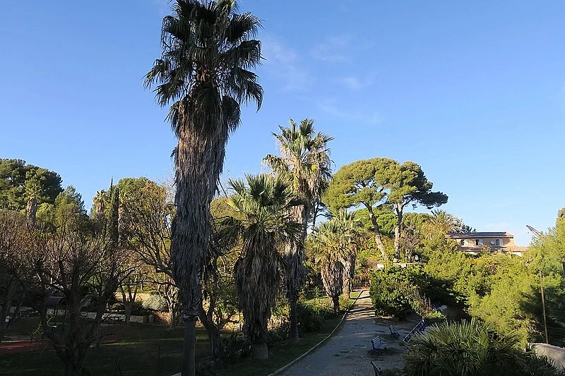 Image 6