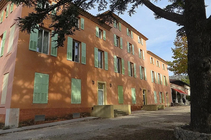 Image 5