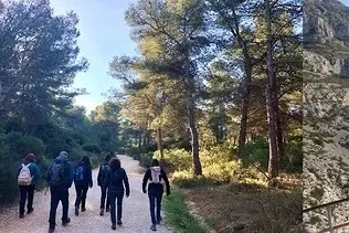 Rando "belvédère de Sugiton suplombant Morgiou, pinède, château de Luminy 