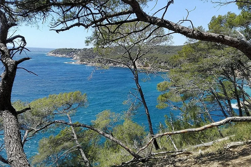 Image 6