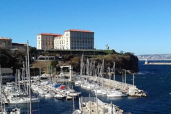 Image 8
