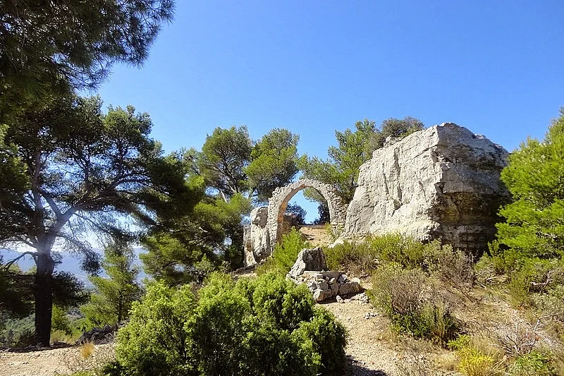 Image 4