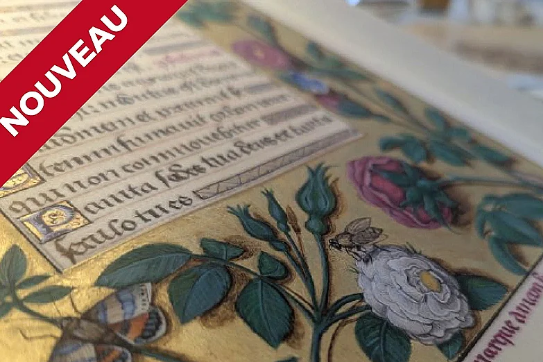 Voyage au coeur de l'enluminure