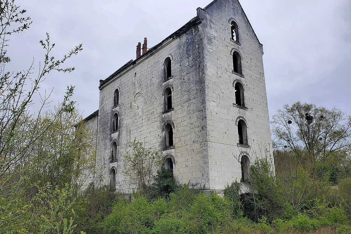Image 1