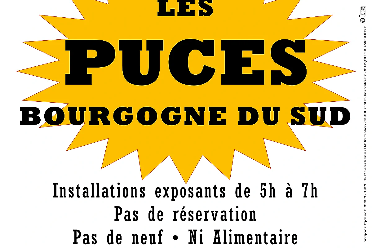 Puces Bourgogne du Sud
