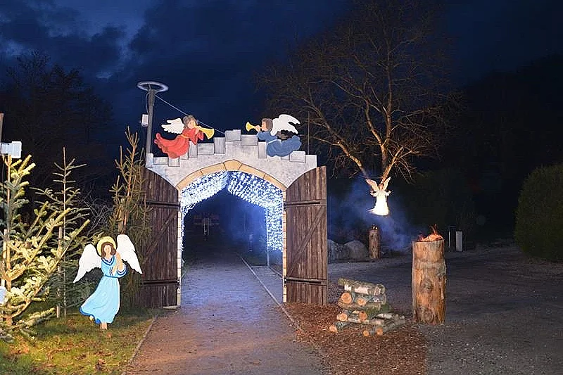 Sur le sentier de Noël du Silberwald : animation guidée
