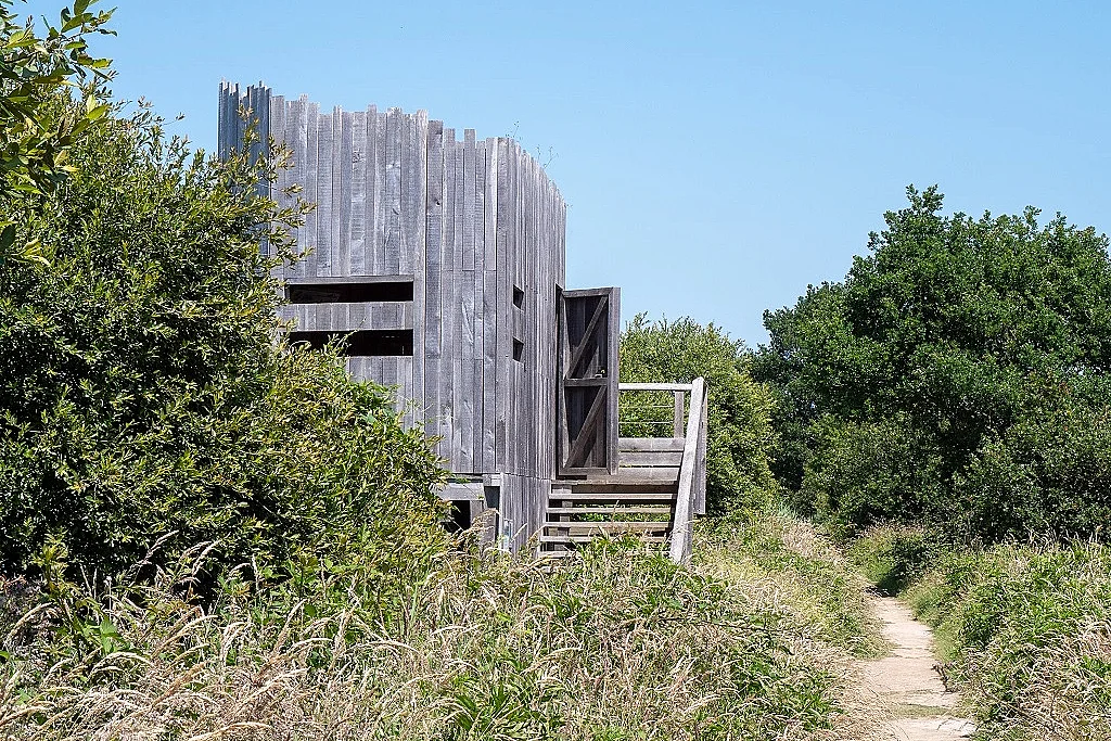 Initiation à l'ornithologie