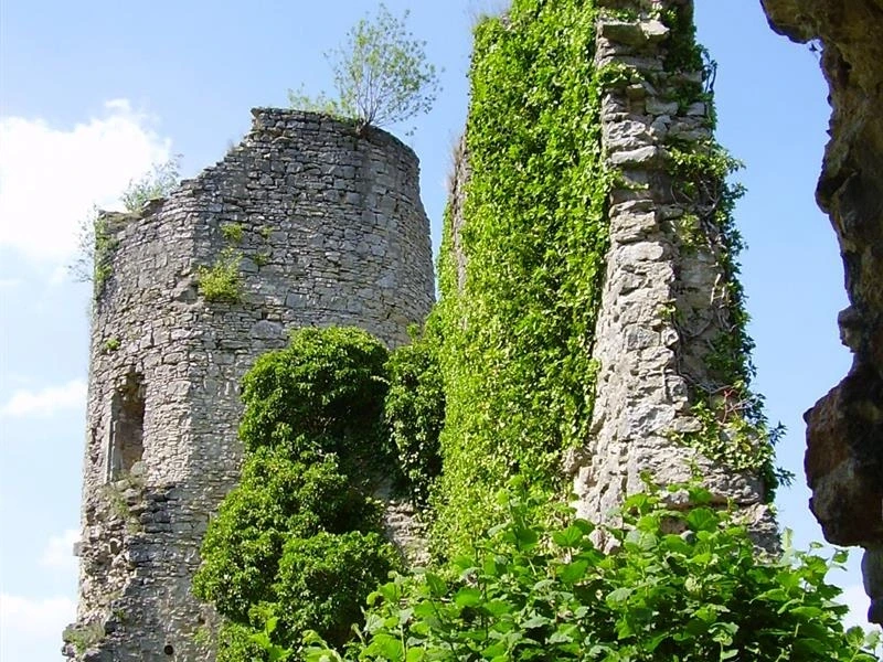 Les Rendez-vous Nature - Nature remarquable sur les pas des Comtes