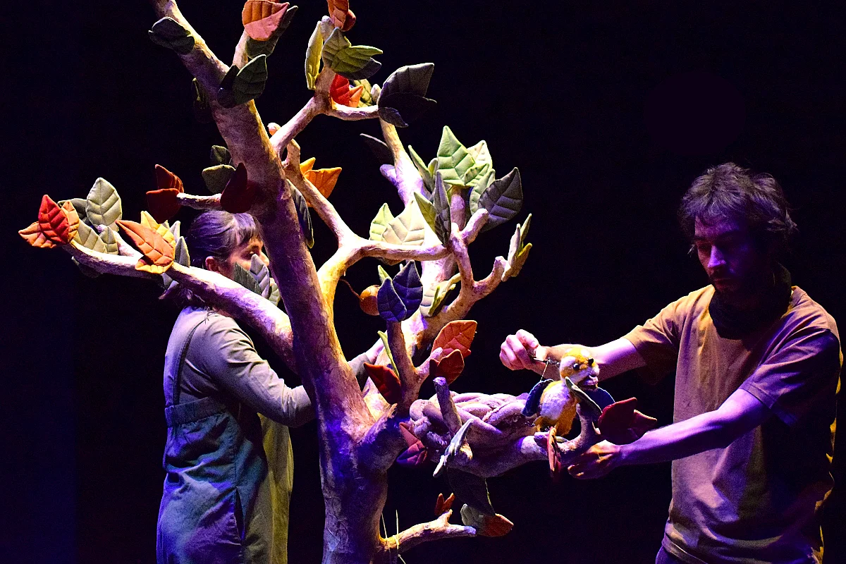 Spectacle "Le Premier Envol"
