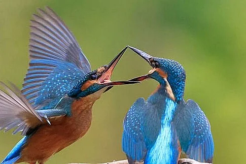 Journée immersive en famille : La rentrèe nature