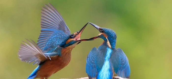 Journée immersive en famille : La rentrèe nature
