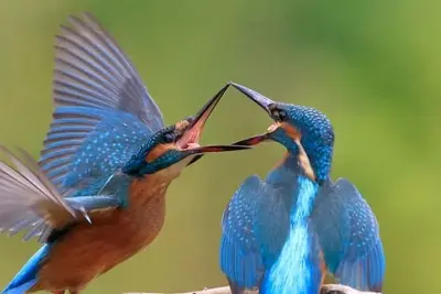 Journée immersive en famille : La rentrèe nature
