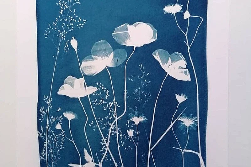 Expérience de Destination : je créé mon cyanotype avec les fleurs du Jardin Christian Dior